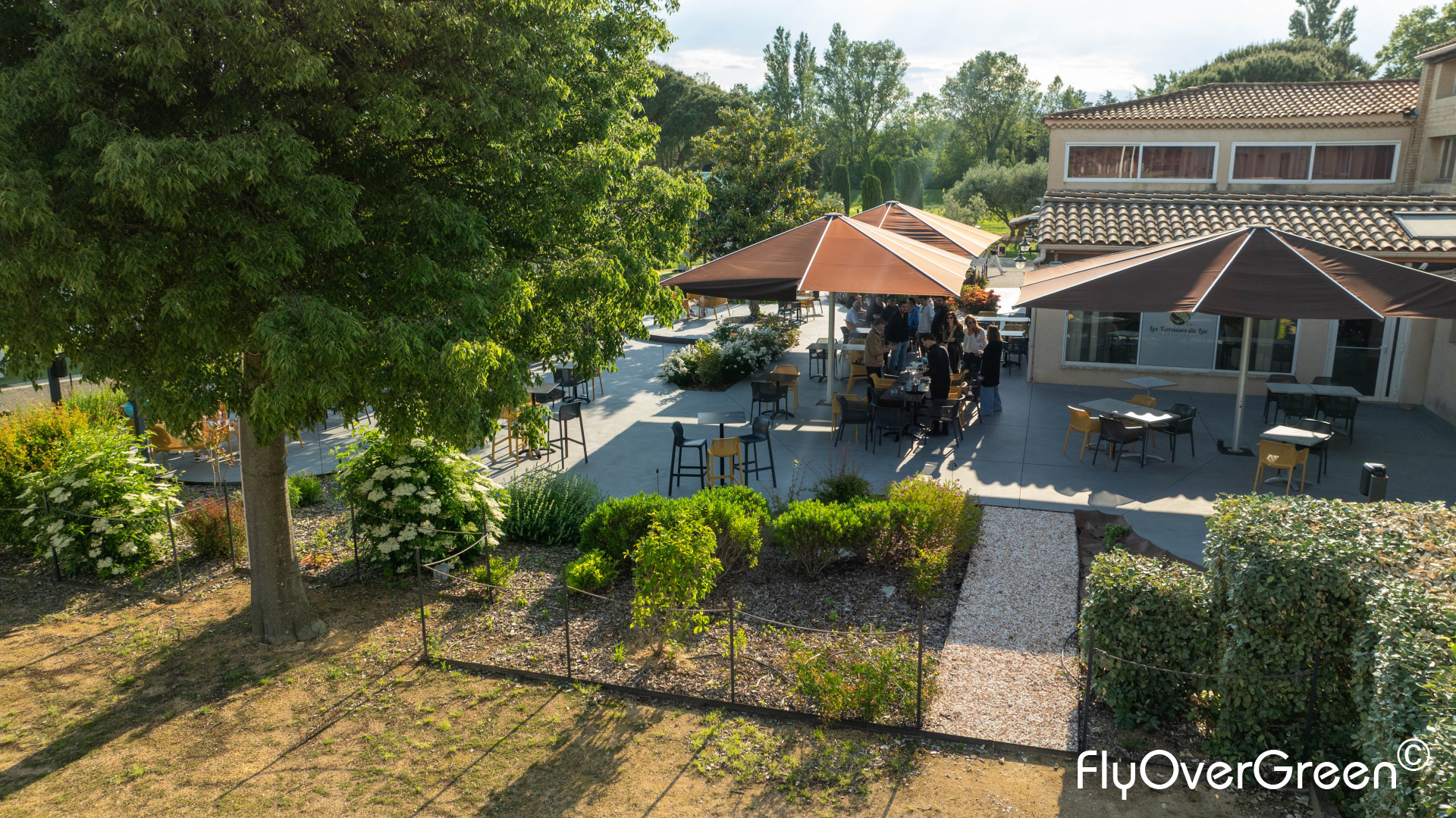 DJI_0449