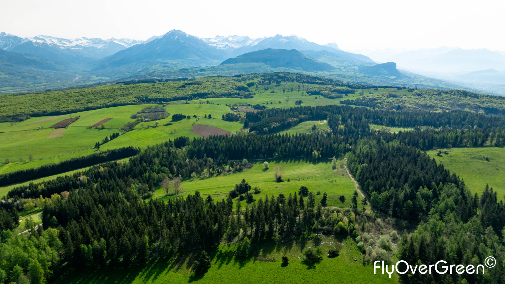 DJI_0750