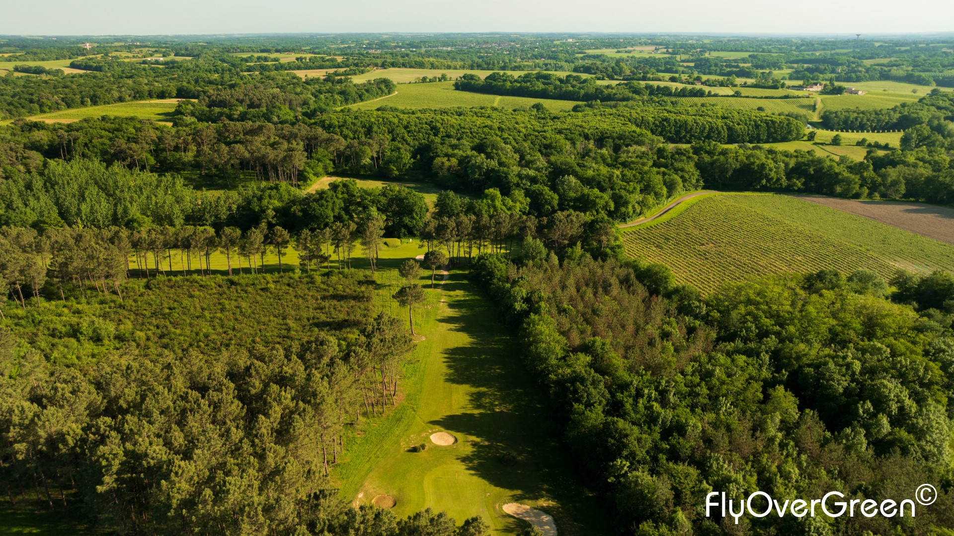 DJI_0869