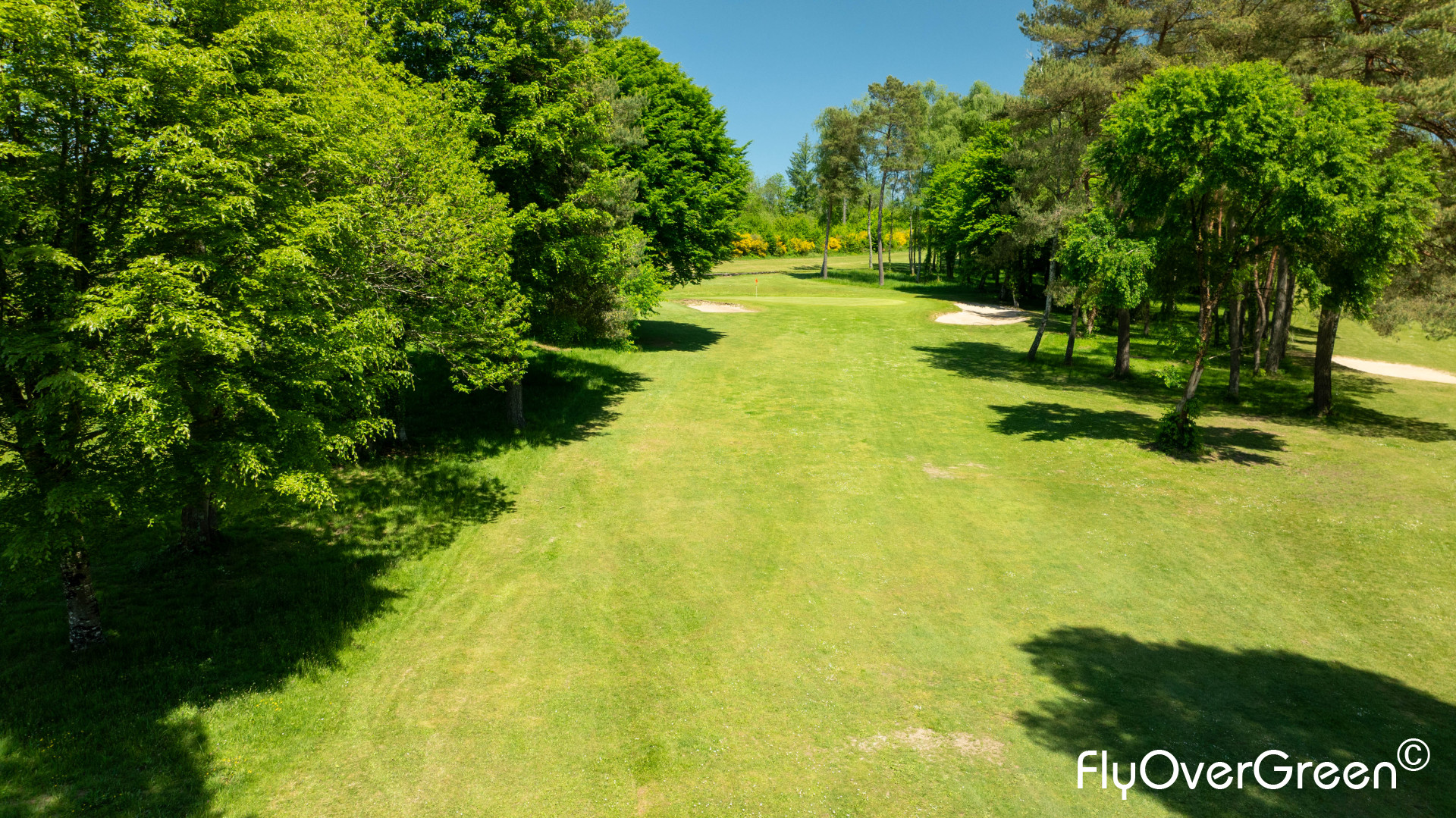 DJI_0601