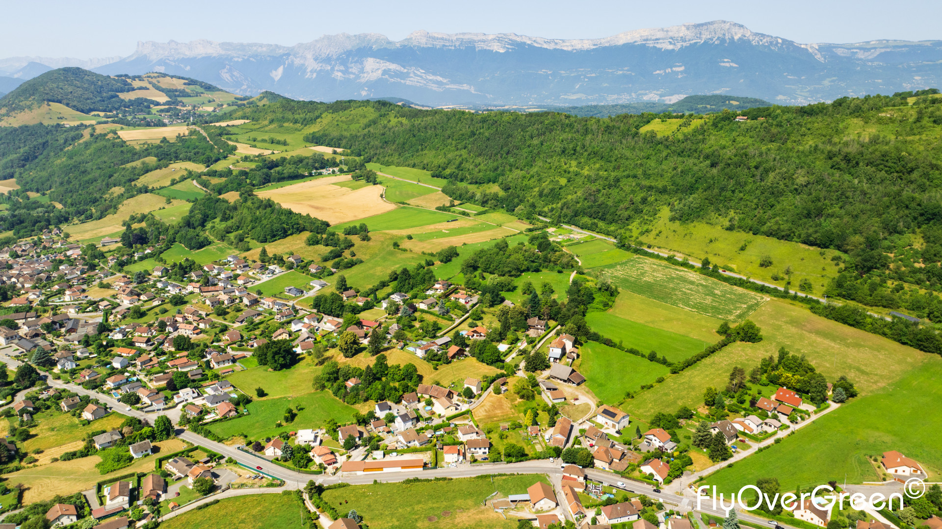 DJI_0477