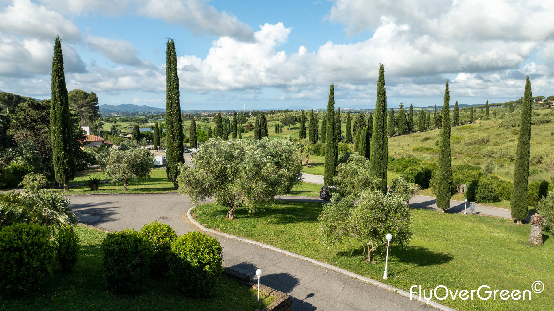 DJI_0877