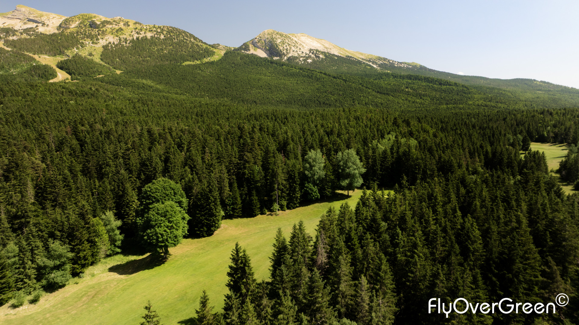 DJI_0598